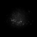 [Solar Dynamics Observatory (SDO) Atmospheric Imaging Assembly (AIA)
         			  image at 1600 Å]