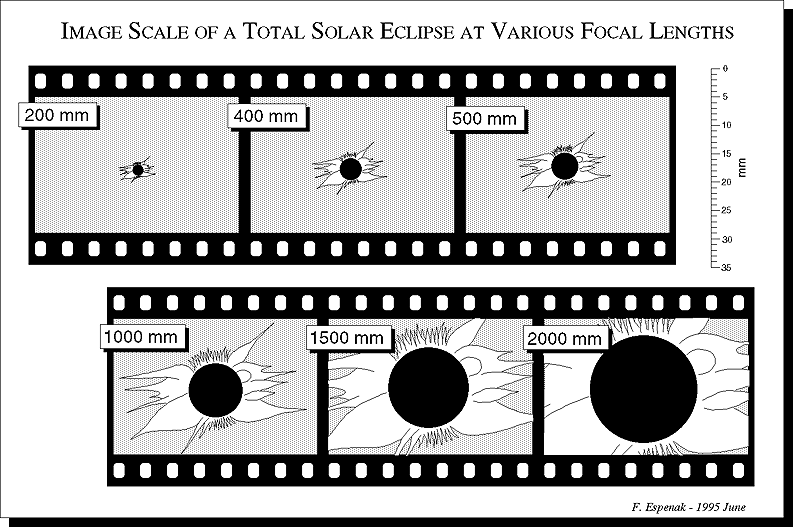 [Film scale]